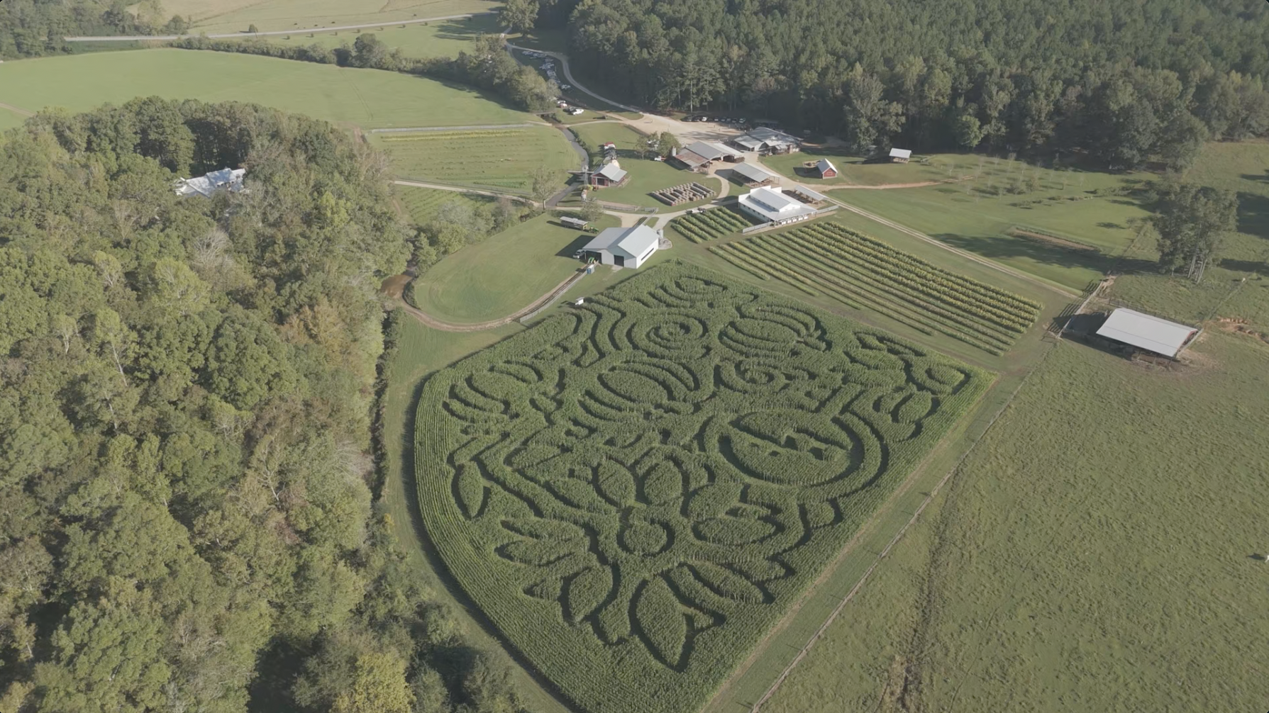 bennett farms drone shot